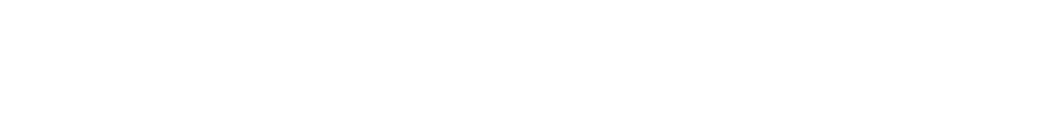 Virtude Net